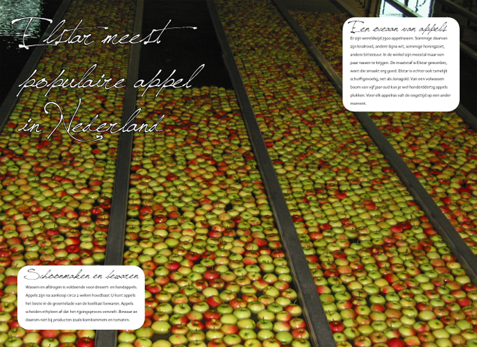 Facts boekje, spread 5 <academieopdracht>